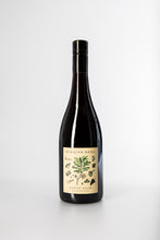 Load image into Gallery viewer, There You Are, Pinot Noir